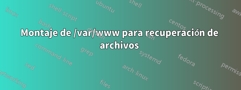 Montaje de /var/www para recuperación de archivos