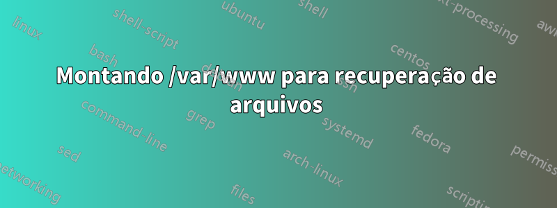 Montando /var/www para recuperação de arquivos