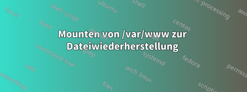 Mounten von /var/www zur Dateiwiederherstellung