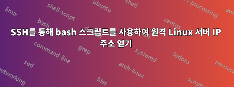 SSH를 통해 bash 스크립트를 사용하여 원격 Linux 서버 IP 주소 얻기