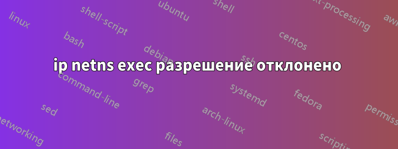 ip netns exec разрешение отклонено