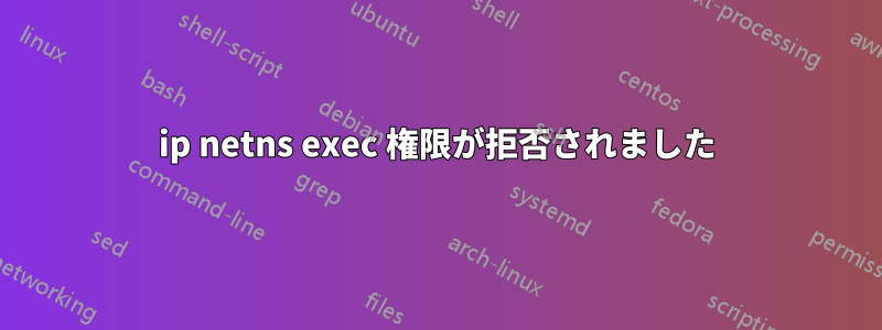 ip netns exec 権限が拒否されました