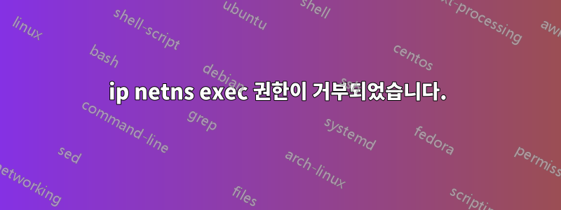 ip netns exec 권한이 거부되었습니다.
