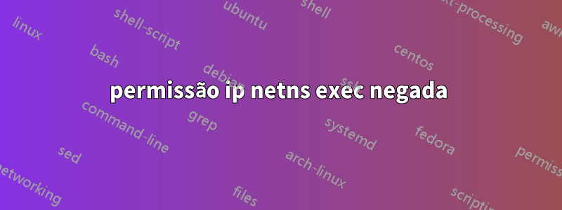 permissão ip netns exec negada