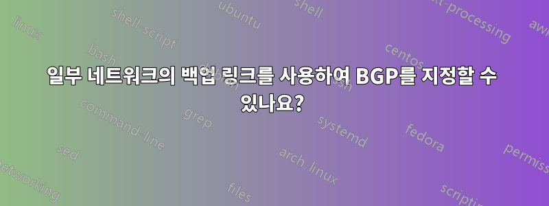 일부 네트워크의 백업 링크를 사용하여 BGP를 지정할 수 있나요?