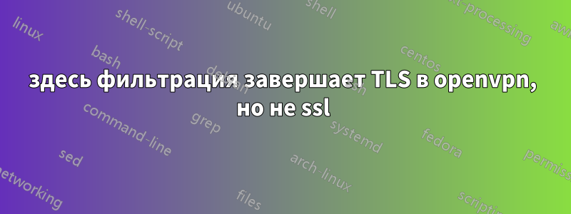 здесь фильтрация завершает TLS в openvpn, но не ssl