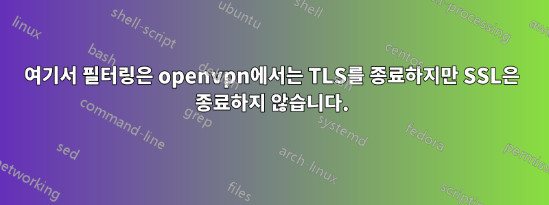 여기서 필터링은 openvpn에서는 TLS를 종료하지만 SSL은 종료하지 않습니다.