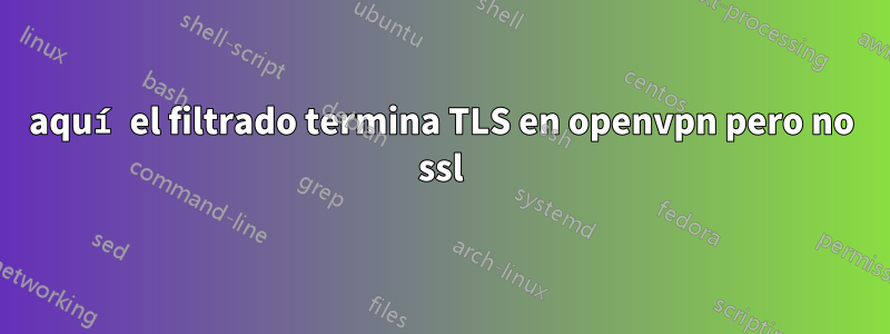 aquí el filtrado termina TLS en openvpn pero no ssl
