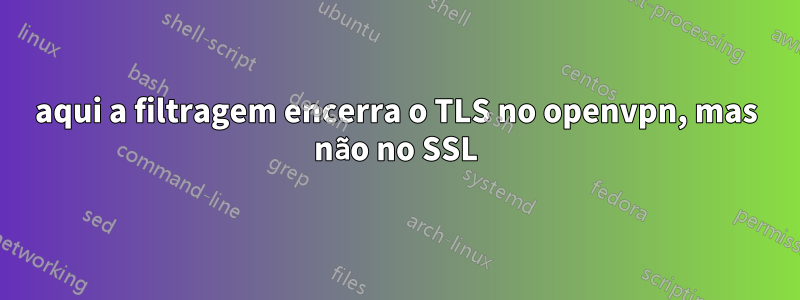 aqui a filtragem encerra o TLS no openvpn, mas não no SSL