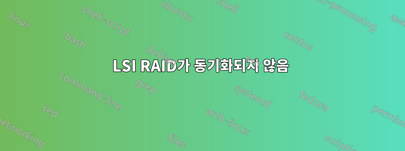 LSI RAID가 동기화되지 않음