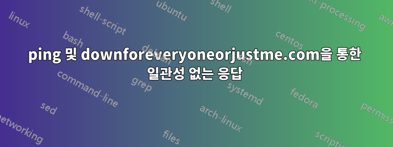 ping 및 downforeveryoneorjustme.com을 통한 일관성 없는 응답