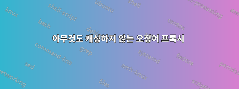 아무것도 캐싱하지 않는 오징어 프록시