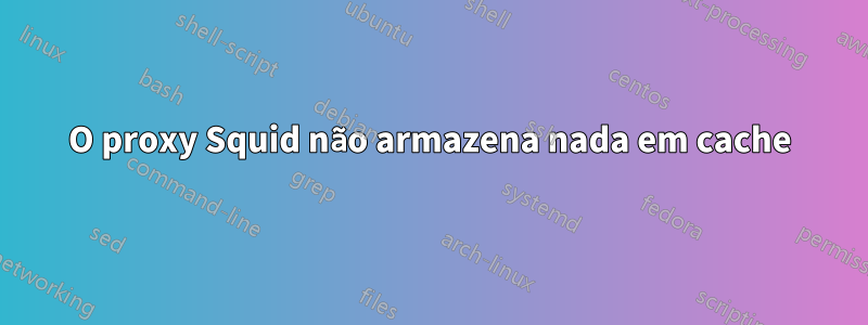 O proxy Squid não armazena nada em cache