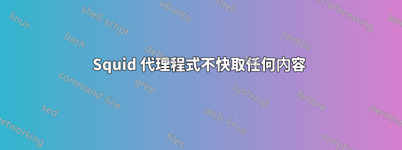 Squid 代理程式不快取任何內容