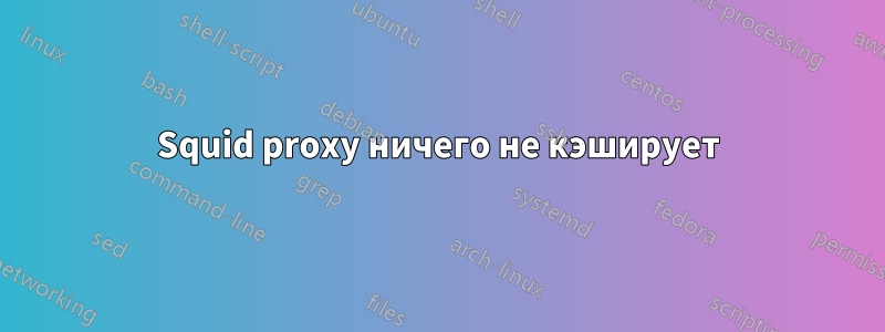 Squid proxy ничего не кэширует