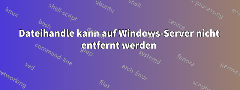 Dateihandle kann auf Windows-Server nicht entfernt werden