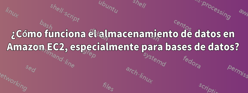 ¿Cómo funciona el almacenamiento de datos en Amazon EC2, especialmente para bases de datos?