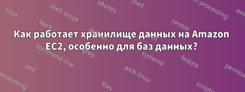 Как работает хранилище данных на Amazon EC2, особенно для баз данных?