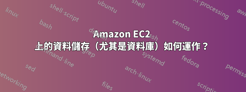 Amazon EC2 上的資料儲存（尤其是資料庫）如何運作？