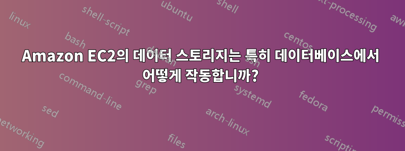 Amazon EC2의 데이터 스토리지는 특히 데이터베이스에서 어떻게 작동합니까?