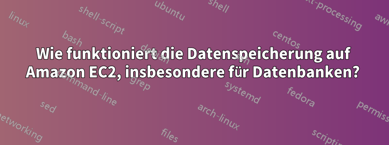 Wie funktioniert die Datenspeicherung auf Amazon EC2, insbesondere für Datenbanken?