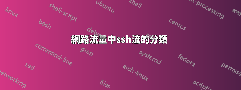 網路流量中ssh流的分類
