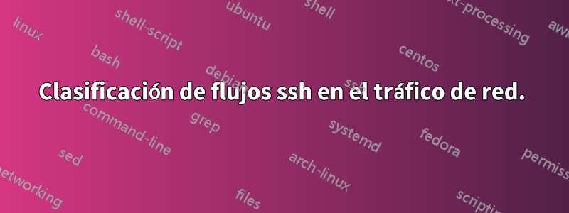 Clasificación de flujos ssh en el tráfico de red.