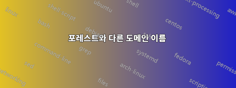 포레스트와 다른 도메인 이름
