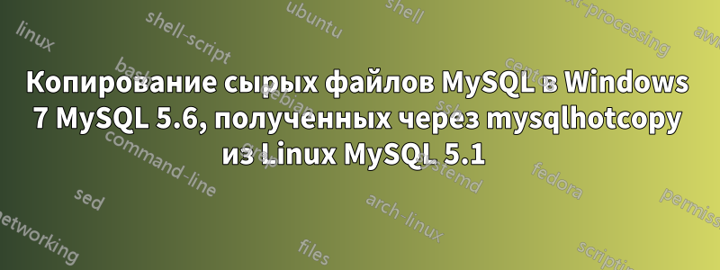 Копирование сырых файлов MySQL в Windows 7 MySQL 5.6, полученных через mysqlhotcopy из Linux MySQL 5.1 
