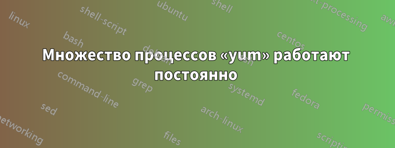 Множество процессов «yum» работают постоянно
