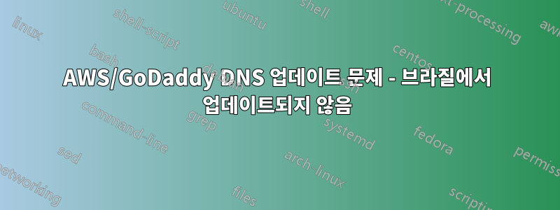 AWS/GoDaddy DNS 업데이트 문제 - 브라질에서 업데이트되지 않음