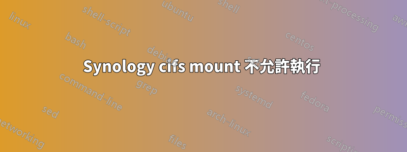 Synology cifs mount 不允許執行