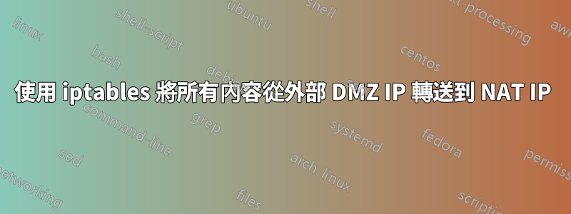 使用 iptables 將所有內容從外部 DMZ IP 轉送到 NAT IP
