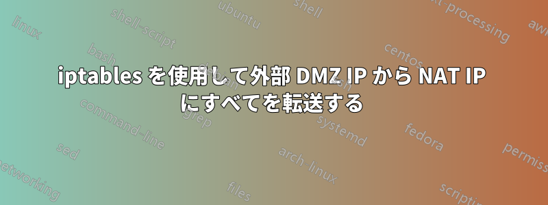 iptables を使用して外部 DMZ IP から NAT IP にすべてを転送する