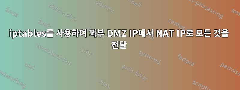 iptables를 사용하여 외부 DMZ IP에서 NAT IP로 모든 것을 전달