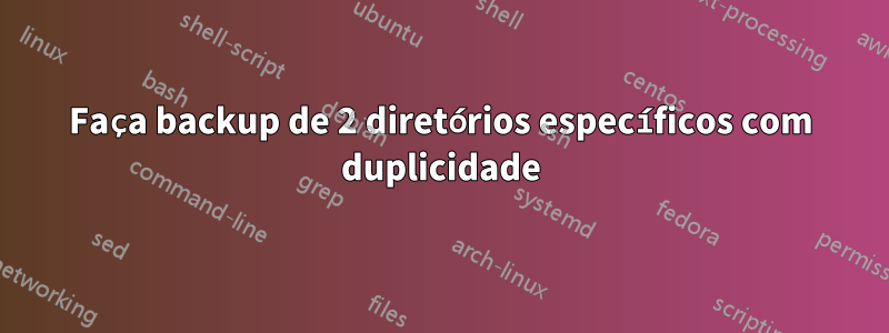 Faça backup de 2 diretórios específicos com duplicidade