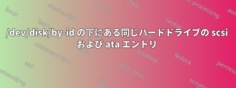 /dev/disk/by-id の下にある同じハードドライブの scsi および ata エントリ