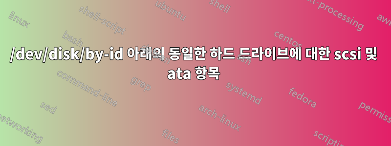 /dev/disk/by-id 아래의 동일한 하드 드라이브에 대한 scsi 및 ata 항목