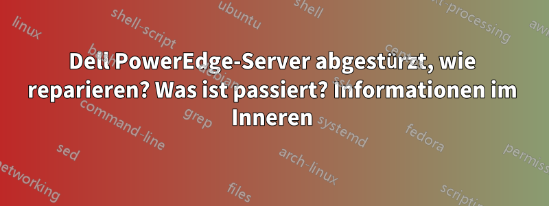 Dell PowerEdge-Server abgestürzt, wie reparieren? Was ist passiert? Informationen im Inneren