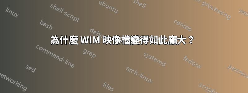 為什麼 WIM 映像檔變得如此龐大？