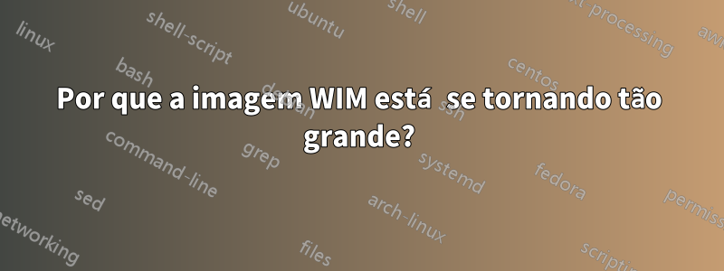 Por que a imagem WIM está se tornando tão grande?