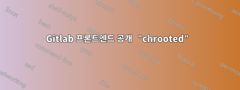 Gitlab 프론트엔드 공개 "chrooted"