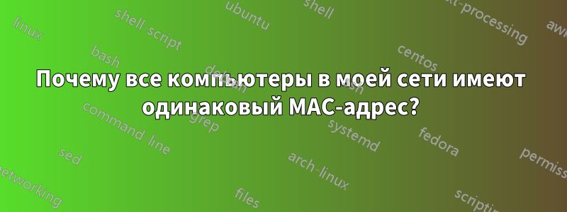 Почему все компьютеры в моей сети имеют одинаковый MAC-адрес?