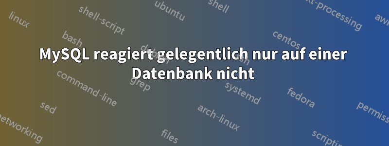 MySQL reagiert gelegentlich nur auf einer Datenbank nicht