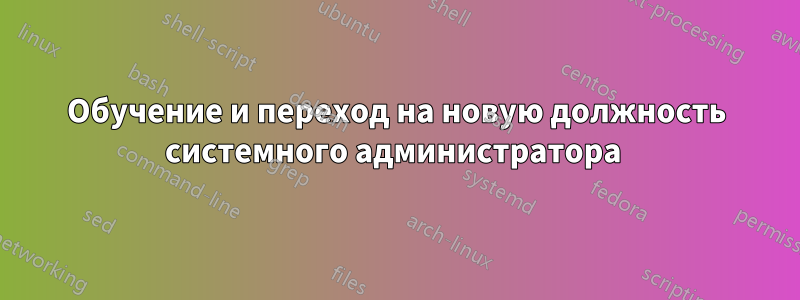 Обучение и переход на новую должность системного администратора 