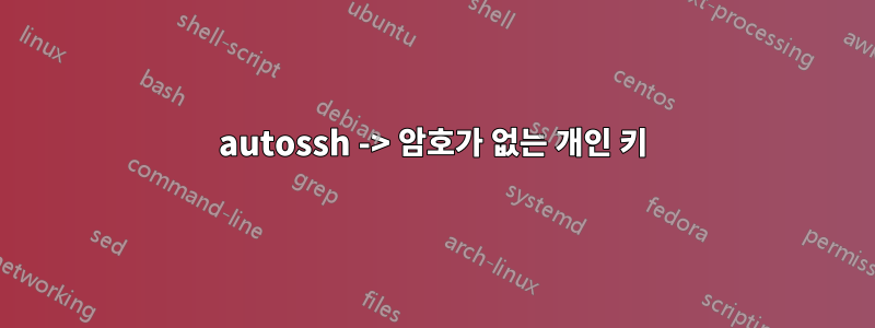 autossh -> 암호가 없는 개인 키