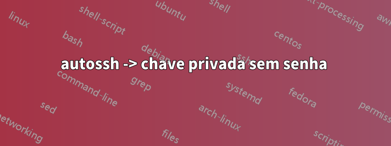 autossh -> chave privada sem senha