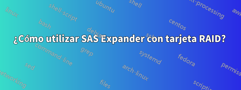 ¿Cómo utilizar SAS Expander con tarjeta RAID?