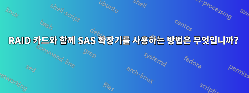 RAID 카드와 함께 SAS 확장기를 사용하는 방법은 무엇입니까?