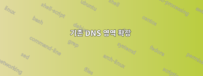 기존 DNS 영역 확장